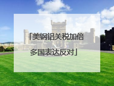 美钢铝关税加倍 多国表达反对