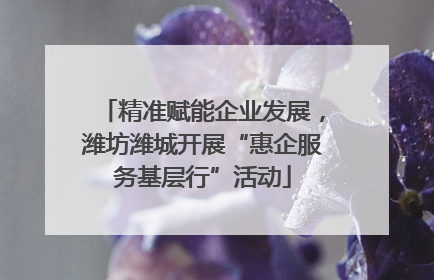 精准赋能企业发展，潍坊潍城开展“惠企服务基层行”活动