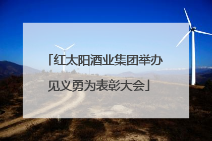 红太阳酒业集团举办见义勇为表彰大会
