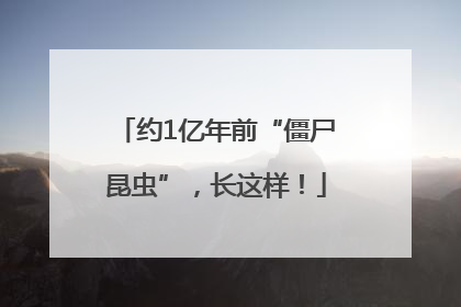 约1亿年前“僵尸昆虫”，长这样！