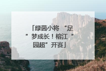 绿茵小将 “足”梦成长！榕江“园超”开赛
