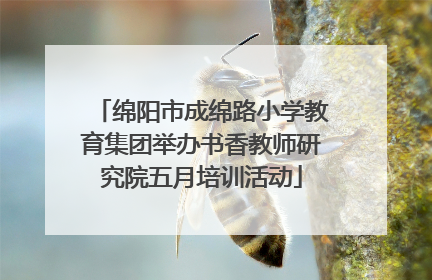 绵阳市成绵路小学教育集团举办书香教师研究院五月培训活动