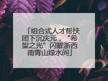 组合式人才帮扶团下沉庆元，“希望之光”闪耀浙西南青山绿水间