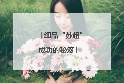 细品“苏超”成功的秘笈