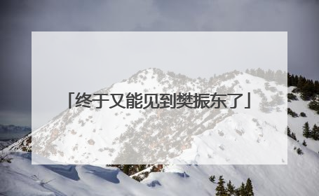 终于又能见到樊振东了