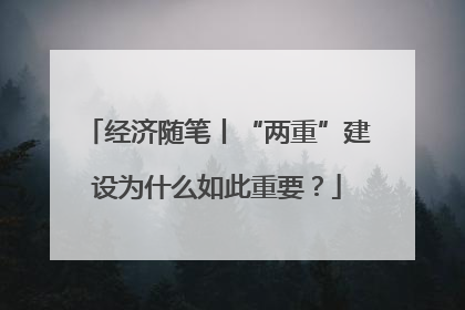 经济随笔丨“两重”建设为什么如此重要？