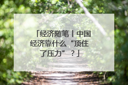 经济随笔丨中国经济靠什么“顶住了压力”？