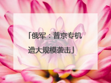 俄军：普京专机遭大规模袭击