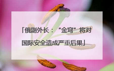 俄副外长：“金穹”将对国际安全造成严重后果