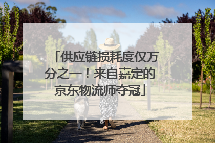 供应链损耗度仅万分之一！来自嘉定的京东物流师夺冠