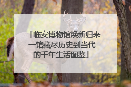 临安博物馆焕新归来 一馆藏尽历史到当代的千年生活图鉴