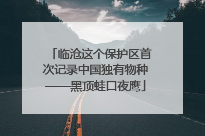 临沧这个保护区首次记录中国独有物种——黑顶蛙口夜鹰