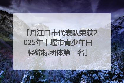 丹江口市代表队荣获2025年十堰市青少年田径锦标团体第一名