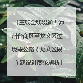 主线全线贯通！漳州台商区至龙文区过境段公路（龙文区段）建设进度条刷新