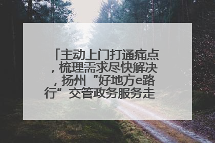 主动上门打通痛点，梳理需求尽快解决，扬州“好地方e路行”交管政务服务走进规上企业