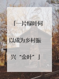 一片绿叶何以成为乡村振兴“金叶”