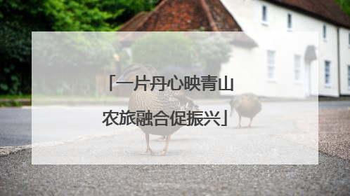 一片丹心映青山 农旅融合促振兴