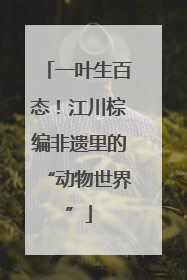 一叶生百态！江川棕编非遗里的“动物世界”