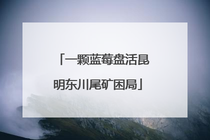一颗蓝莓盘活昆明东川尾矿困局