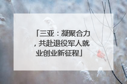 三亚：凝聚合力，共赴退役军人就业创业新征程