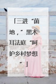 三进“菌地，”黑木耳法庭“呵护乡村梦想”