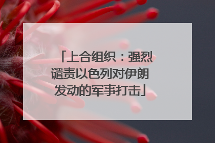 上合组织：强烈谴责以色列对伊朗发动的军事打击