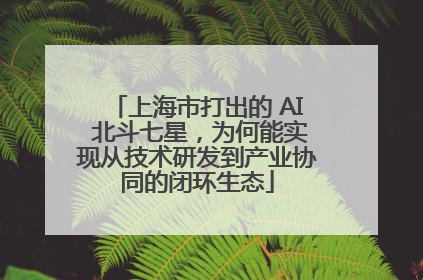 上海市打出的 AI 北斗七星，为何能实现从技术研发到产业协同的闭环生态
