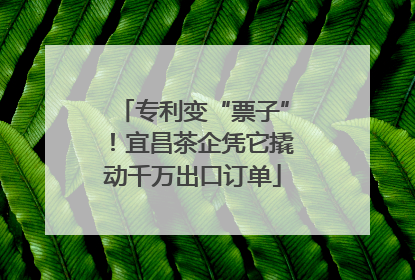 专利变“票子”！宜昌茶企凭它撬动千万出口订单