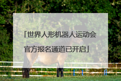 世界人形机器人运动会官方报名通道已开启