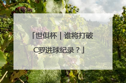 世俱杯｜谁将打破C罗进球纪录？