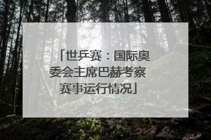 世乒赛：国际奥委会主席巴赫考察赛事运行情况