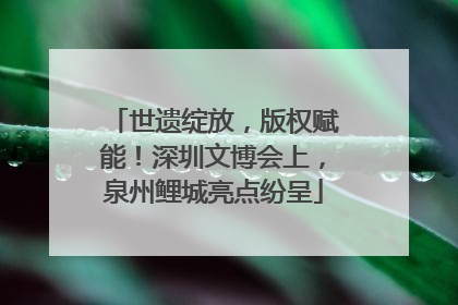 世遗绽放，版权赋能！深圳文博会上，泉州鲤城亮点纷呈