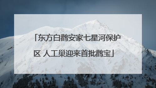 东方白鹳安家七星河保护区 人工巢迎来首批鹳宝