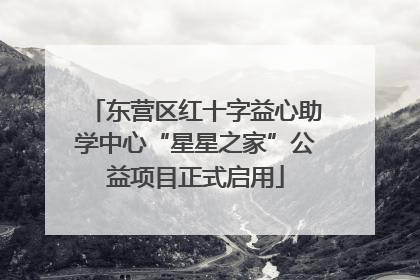 东营区红十字益心助学中心“星星之家”公益项目正式启用