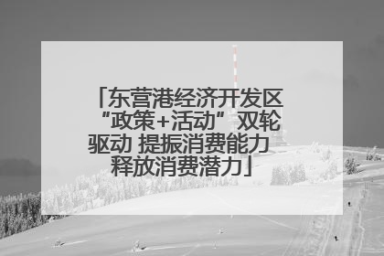 东营港经济开发区“政策+活动”双轮驱动 提振消费能力 释放消费潜力