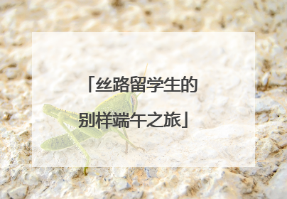 丝路留学生的别样端午之旅