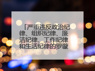 严重违反政治纪律、组织纪律、廉洁纪律、工作纪律和生活纪律的罗璇，非法收受他人巨额财物