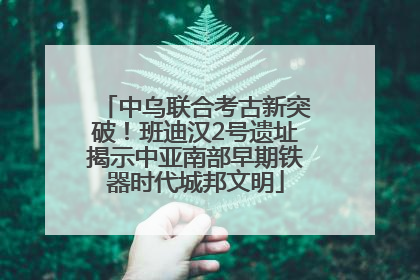 中乌联合考古新突破！班迪汉2号遗址揭示中亚南部早期铁器时代城邦文明