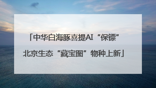 中华白海豚喜提AI“保镖” 北京生态“藏宝图”物种上新
