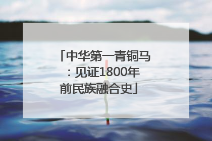 中华第一青铜马：见证1800年前民族融合史