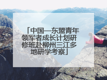 中国—东盟青年领军者成长计划研修班赴柳州三江多地研学考察