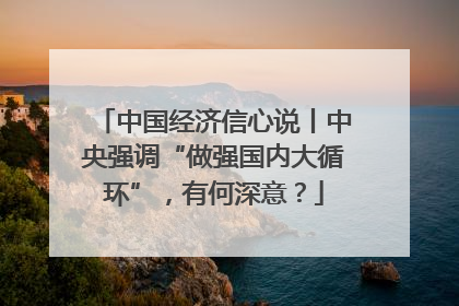 中国经济信心说丨中央强调“做强国内大循环”，有何深意？