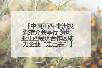 中国江西-非洲投资推介会举行 赞比亚江西经济合作区助力企业“走出去”
