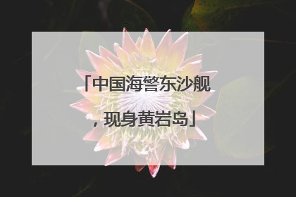 中国海警东沙舰，现身黄岩岛