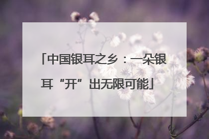 中国银耳之乡：一朵银耳“开”出无限可能
