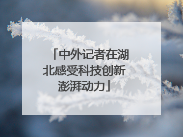 中外记者在湖北感受科技创新澎湃动力