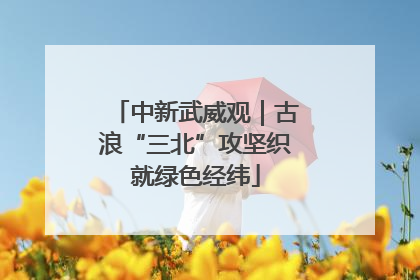 中新武威观｜古浪“三北”攻坚织就绿色经纬