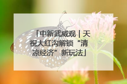 中新武威观｜天祝大红沟解锁“清凉经济”新玩法
