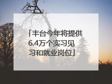 丰台今年将提供6.4万个实习见习和就业岗位