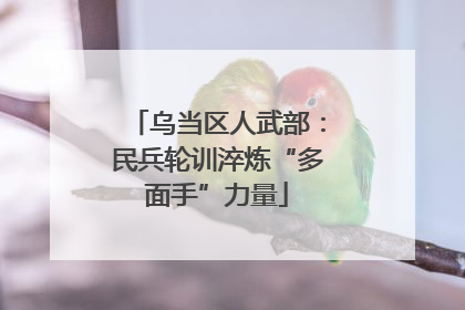 乌当区人武部：民兵轮训淬炼“多面手”力量